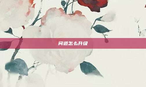 问道怎么升级