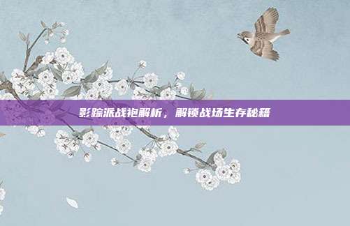 影踪派战袍解析,解锁战场生存秘籍