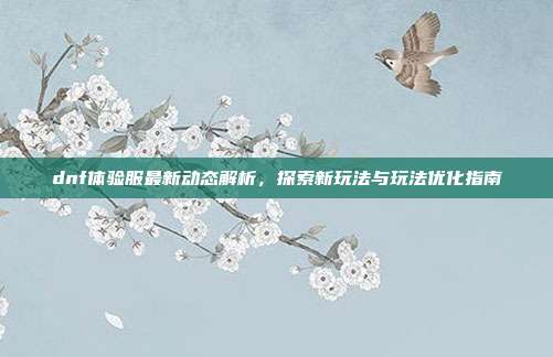 dnf体验服最新动态解析,探索新玩法与玩法优化指南