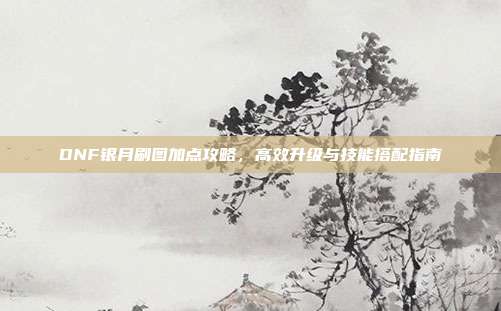 DNF银月刷图加点攻略，高效升级与技能搭配指南