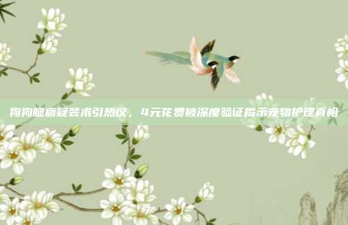 狗狗腿瘸疑装术引热议,4元花费被深度验证揭示宠物护理真相