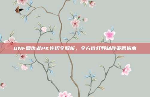 DNF复仇者PK连招全解析,全方位打野制胜策略指南
