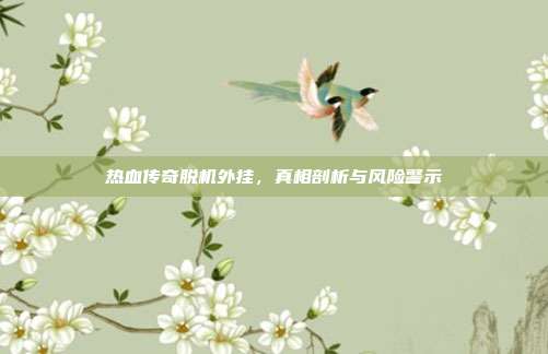 热血传奇脱机外挂，真相剖析与风险警示