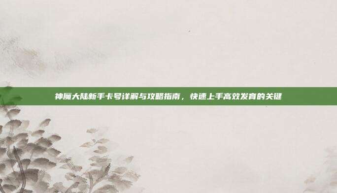 神魔大陆新手卡号详解与攻略指南,快速上手高效发育的关键