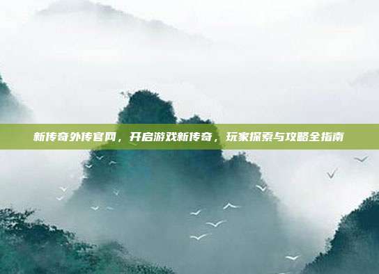 新传奇外传官网,开启游戏新传奇,玩家探索与攻略全指南