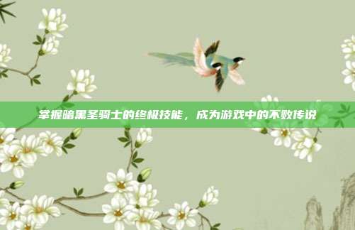 掌握暗黑圣骑士的终极技能,成为游戏中的不败传说