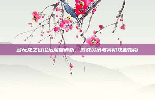 多玩龙之谷论坛深度解析,游戏资讯与高阶攻略指南