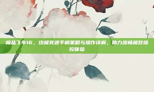极品飞车16,终极竞速手柄策略与操作详解,助力流畅极致操控体验