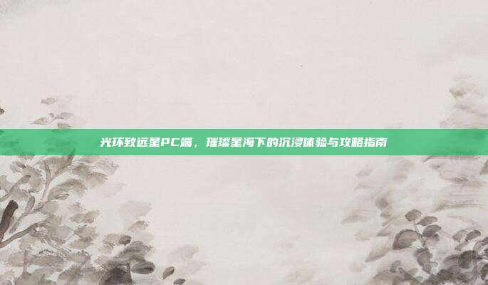 光环致远星PC端,璀璨星海下的沉浸体验与攻略指南