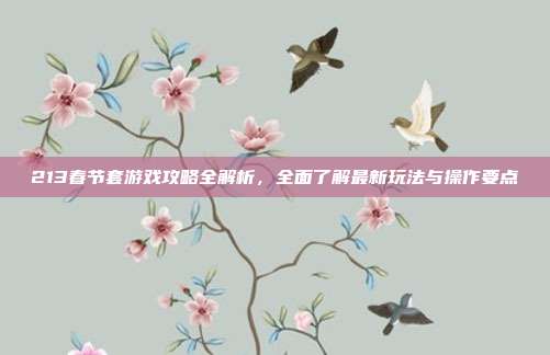 213春节套游戏攻略全解析,全面了解最新玩法与操作要点