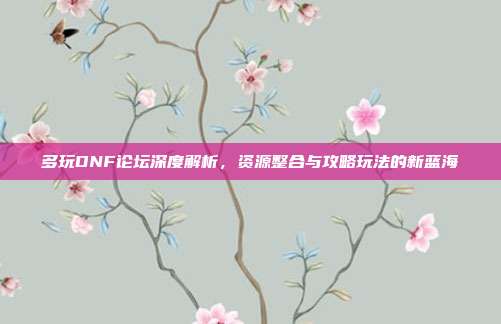 多玩DNF论坛深度解析,资源整合与攻略玩法的新蓝海