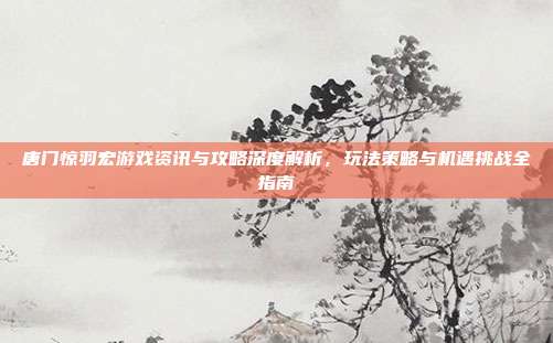 唐门惊羽宏游戏资讯与攻略深度解析,玩法策略与机遇挑战全指南