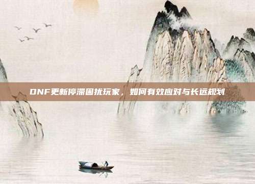 DNF更新停滞困扰玩家，如何有效应对与长远规划
