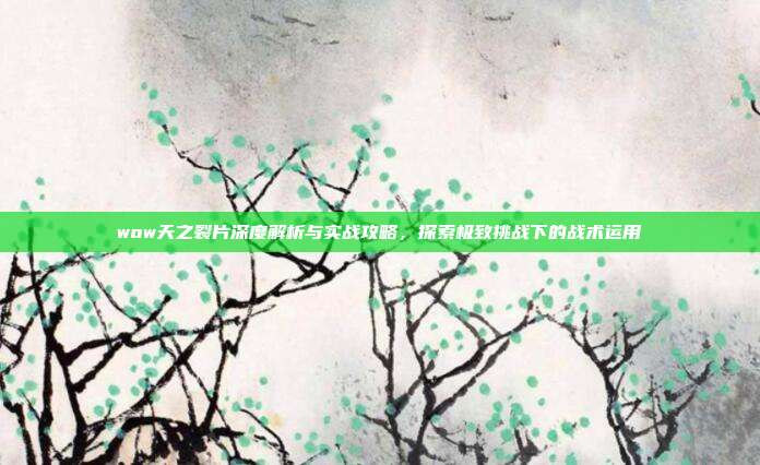 wow天之裂片深度解析与实战攻略，探索极致挑战下的战术运用