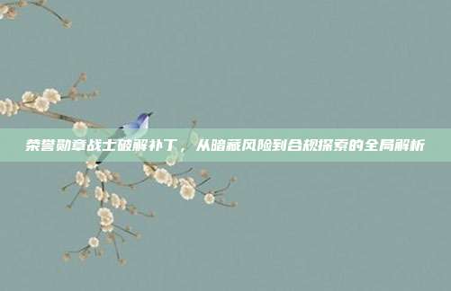 荣誉勋章战士破解补丁，从暗藏风险到合规探索的全局解析