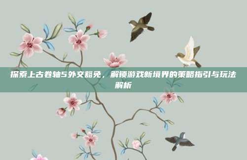 探索上古卷轴5外交豁免,解锁游戏新境界的策略指引与玩法解析