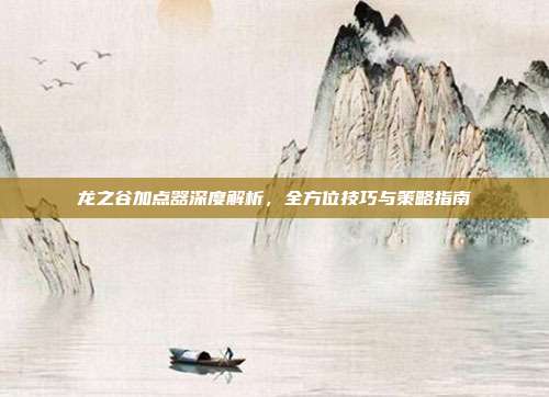 龙之谷加点器深度解析,全方位技巧与策略指南