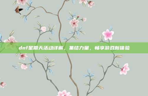 dnf星期天活动详解，集结力量，畅享游戏新体验