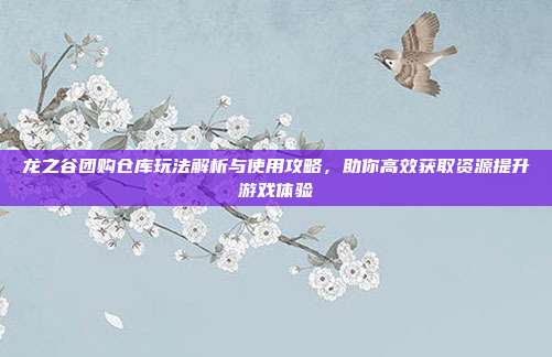 龙之谷团购仓库玩法解析与使用攻略，助你高效获取资源提升游戏体验