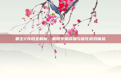 霸王2存档全解析，解锁专属成就与优化游戏体验