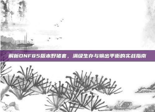 解析DNF85版本野猪套,满级生存与输出平衡的实战指南