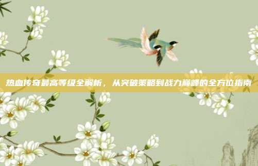 热血传奇最高等级全解析,从突破策略到战力巅峰的全方位指南
