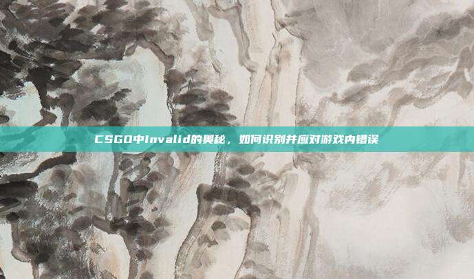 CSGO中Invalid的奥秘,如何识别并应对游戏内错误