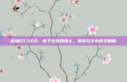 深圳打CSGO,电子竞技的热土,激情与汗水的交响曲