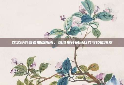 龙之谷影舞者加点指南,精准提升角色战力与技能爆发