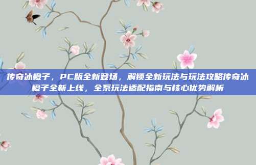 传奇冰橙子,PC版全新登场,解锁全新玩法与玩法攻略传奇冰橙子全新上线,全系玩法适配指南与核心优势解析