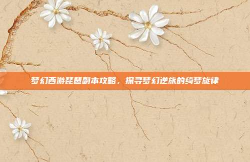 梦幻西游琵琶副本攻略,探寻梦幻逆旅的绮梦旋律