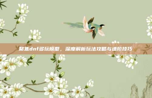 聚焦dnf多玩模型，深度解析玩法攻略与进阶技巧