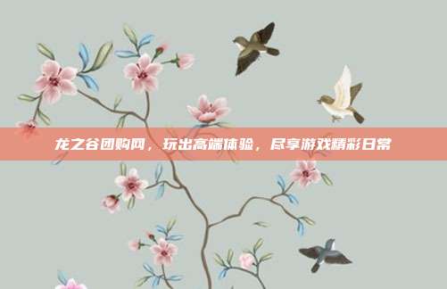 龙之谷团购网,玩出高端体验,尽享游戏精彩日常