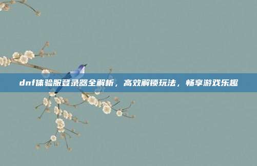 dnf体验服登录器全解析，高效解锁玩法，畅享游戏乐趣