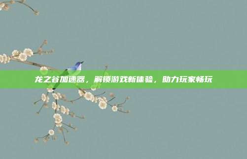 龙之谷加速器,解锁游戏新体验,助力玩家畅玩
