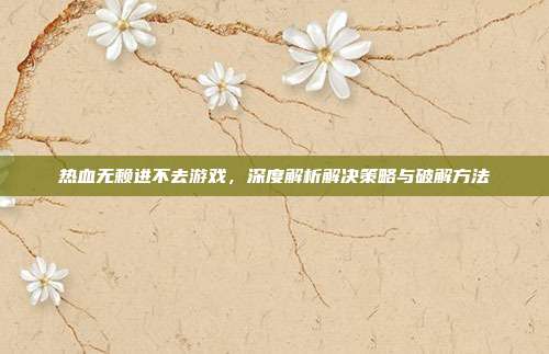 热血无赖进不去游戏，深度解析解决策略与破解方法