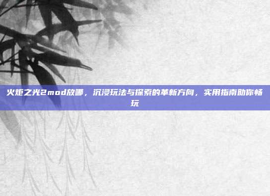 火炬之光2mod放哪，沉浸玩法与探索的革新方向，实用指南助你畅玩