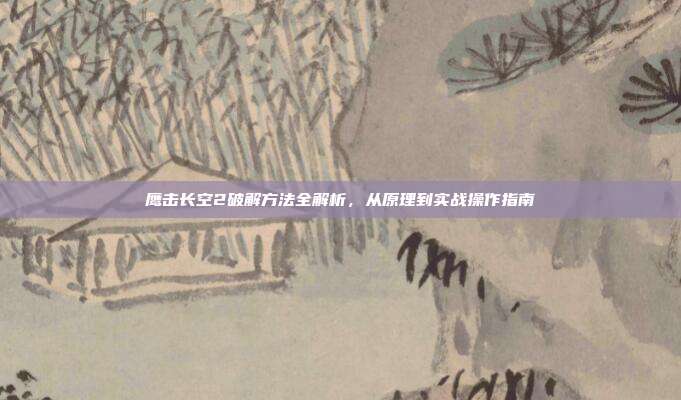 鹰击长空2破解方法全解析，从原理到实战操作指南