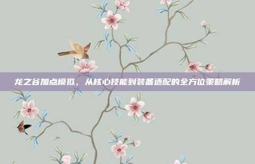 龙之谷加点模拟,从核心技能到装备适配的全方位策略解析