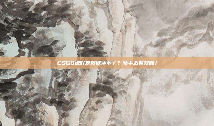 CSGO送好友皮肤领不了?新手必看攻略!