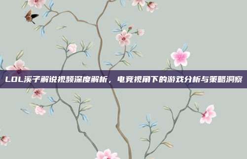 LOL溪子解说视频深度解析，电竞视角下的游戏分析与策略洞察