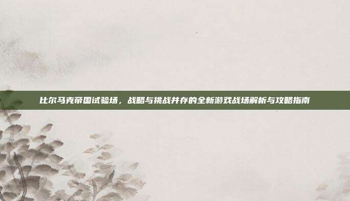 比尔马克帝国试验场,战略与挑战并存的全新游戏战场解析与攻略指南