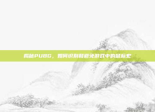 揭秘PUBG,如何识别和避免游戏中的鼠标宏