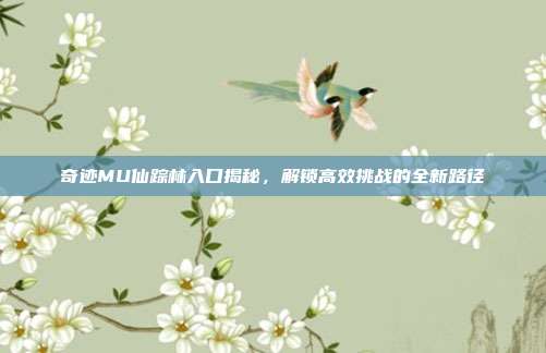 奇迹MU仙踪林入口揭秘,解锁高效挑战的全新路径