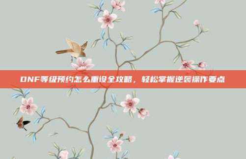 DNF等级预约怎么重设全攻略,轻松掌握逆袭操作要点