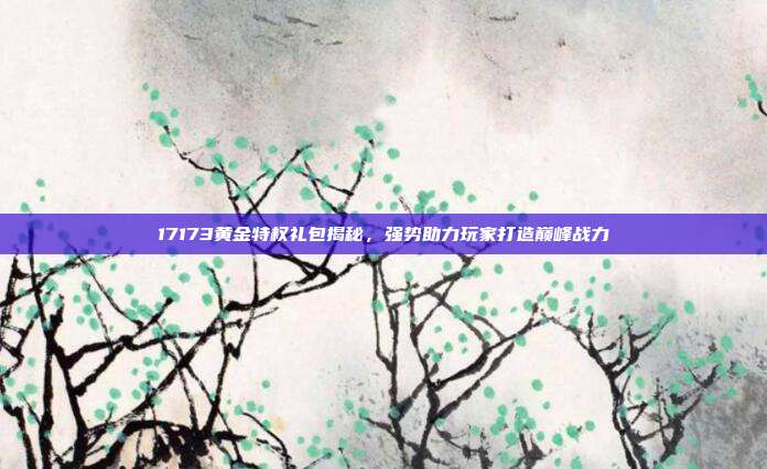 17173黄金特权礼包揭秘,强势助力玩家打造巅峰战力