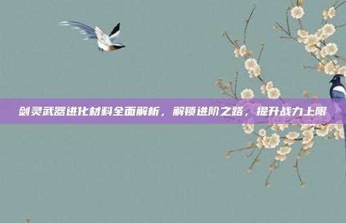 剑灵武器进化材料全面解析，解锁进阶之路，提升战力上限
