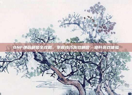 DNF弹药刷图全攻略，掌握技巧高效刷图，提升游戏体验