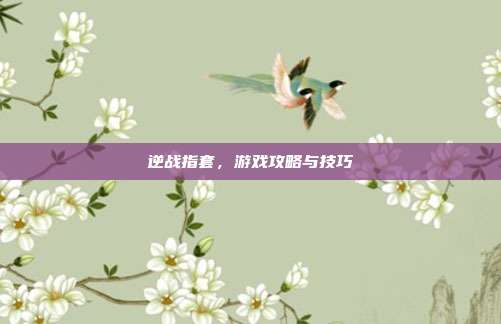 逆战指套，游戏攻略与技巧