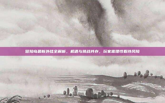 冒险岛最新外挂全解析，机遇与挑战并存，玩家需理性看待风险